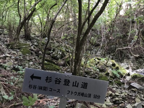 杉林の間をジグザグに下りてきて、ガレたところを沢に沿って下りたらこの標識がありました。