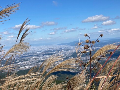 真ん中に見えるのは・・・花火で有名だったPLの塔。