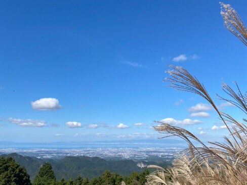 ススキの向こうにぽっかり浮かんだ雲。見飽きませんね。