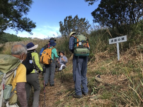 45分ほどで「達磨の肩」到着。ススキが見事です。