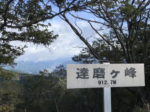 ススキの間を抜けて「達磨ケ峰」到着。