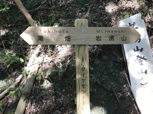 きれいな木の標識がたくさんあります。