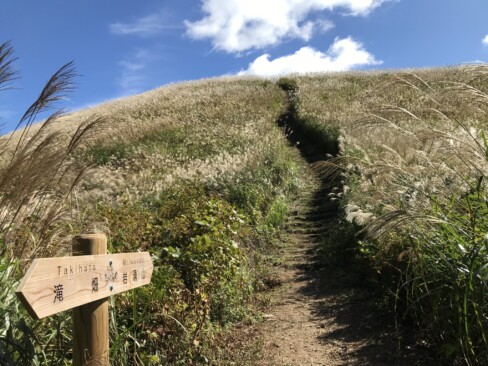 見えてきました(^O^)/青空に続くススキの原っぱ!!!素敵すぎて、ため息が。