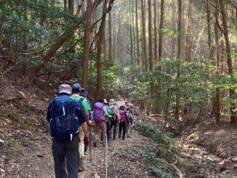 植林されたヒノキの間を下っていきます。