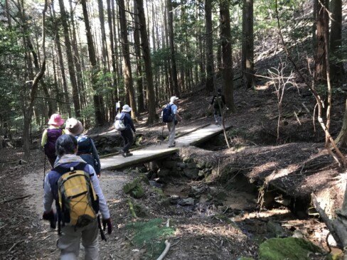 木の橋も作られています。ありがたい。