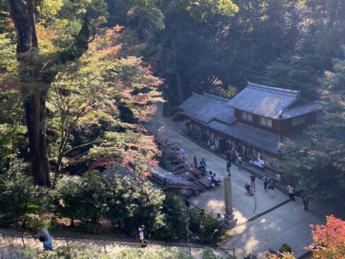 舞台から見下ろすと、こんな感じ。