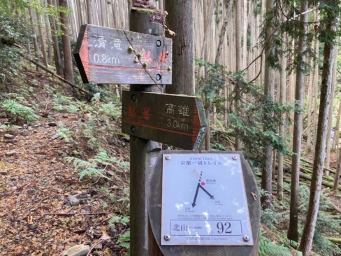 標識92で鋭角に折り返して、梨ノ木林道に合流します。