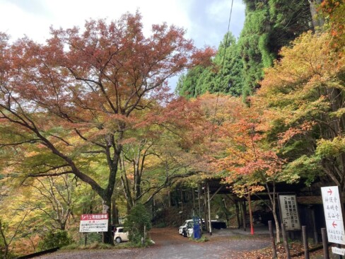 紅葉の名所から、東海道自然歩道を歩いて清滝方面へ向かいます。