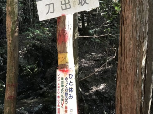 下りも休憩は大切ですよね。