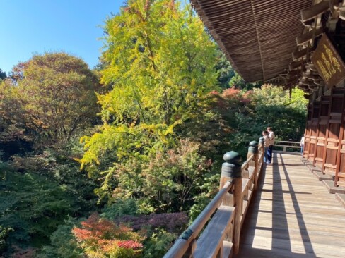 摩尼殿の舞台。いやあ、長いですね。