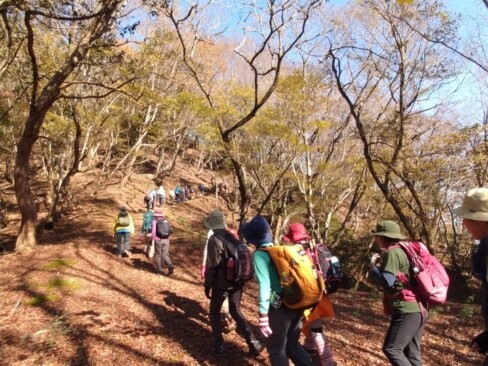 葉の落ちた木々が太陽に照らされて、冬に向かう山も素敵です。