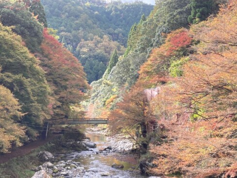 渓谷と紅葉!!合いますね。