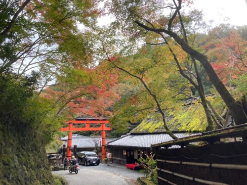 一の鳥居のそばにある鮎の宿「平野屋」。重厚な茅葺のたたずまいがいいです。