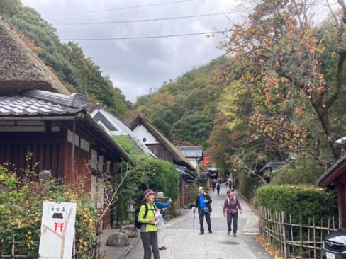 趣のある石畳・・・柿、いっぱいなってます。