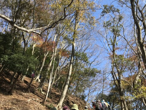 登山道がだんだん急になってきました。青空に励まされてがんばります。