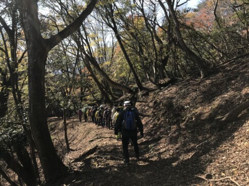 皆さん、1列に行儀よく並んでおられます。