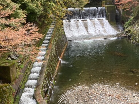 清滝の発電所に続く取水堰堤。階段状の水路は、魚道。