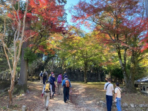 青空と色づき始めたモミジの下を歩きます。