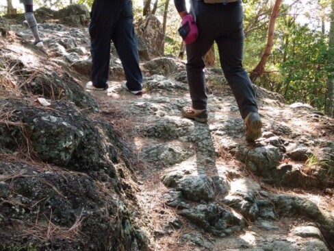 東坂登山口からは、岩がゴツゴツです。