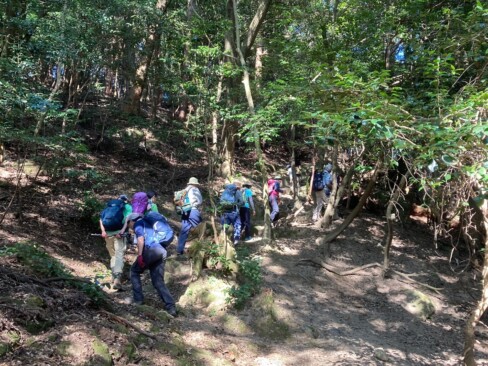白山権現に向けての上り。なかなかの急登です。