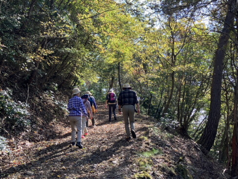 山里にも紅葉が下りてきました。きらめく陽光がまばゆい。