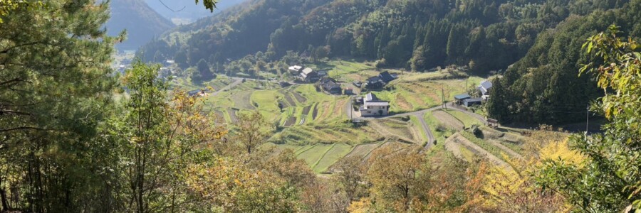展望台から見た毛原の集落、棚田がパッチワークのように広がっています。