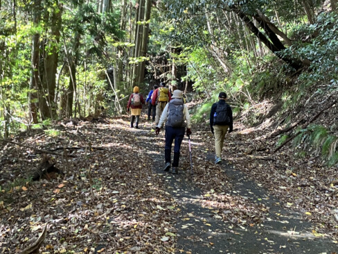 木漏れ日の中、緩やかな登山道を進みます。