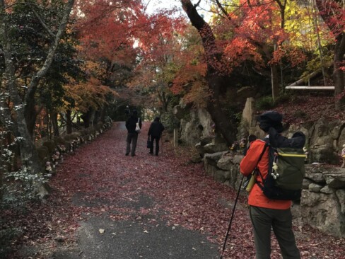 モミジの坂を上ると、古法華寺です。