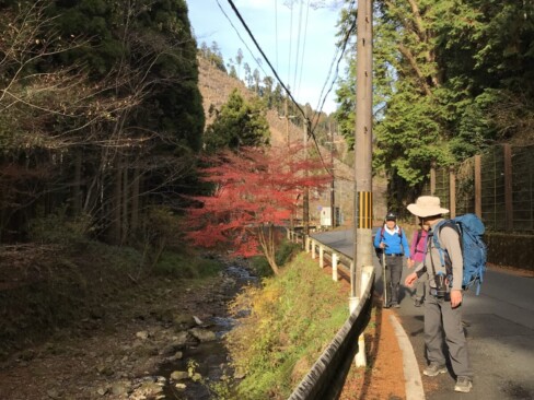 二ノ瀬駅まで、約2㎞の車道歩き。振り返って、紅葉したモミジ。