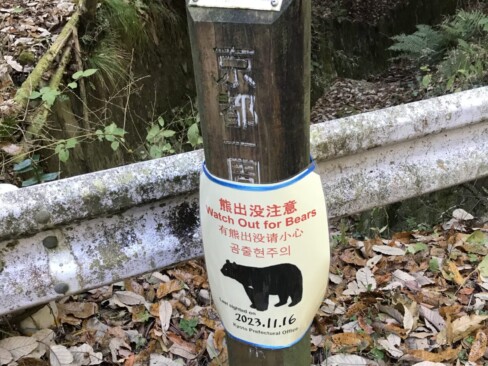 この辺りも、クマの目撃情報が多いらしい。ドキドキです。
