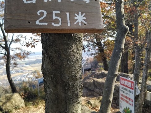 歩き始めて30分くらいで善防山到着です。