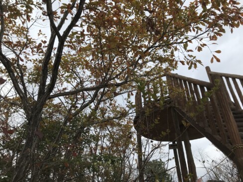 笠松山山頂の展望台。老朽化のため、上がれなくて残念。