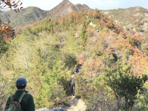 善防山からの下りは、岩が多くて要注意です。