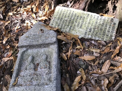 薬王坂の途中にある二尊板碑。枯れた大木が倒れて、板碑も倒れています。