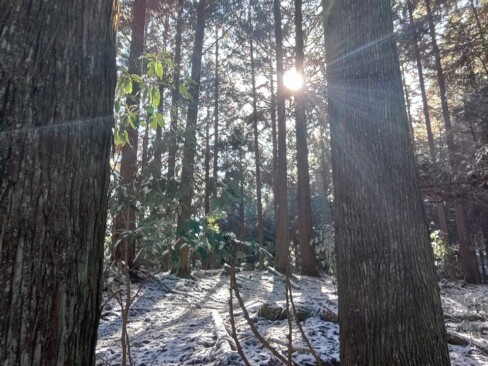 太陽の光が、キラーーーンと差し込んできました。