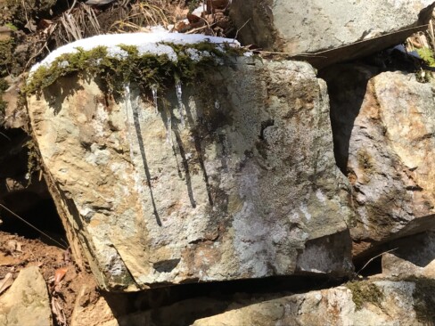 石垣に小さいつららが。