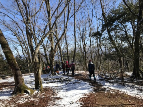 穏やかな天気。気持ちよく下山できます。