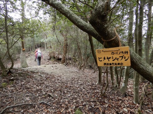 木に名前が付けてあるので勉強になります。