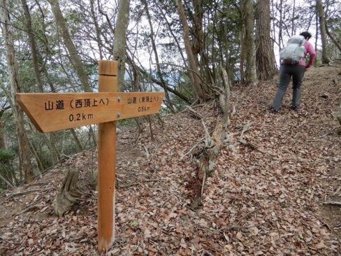 次の東頂上まで500mなのですね。がんばろーーー!