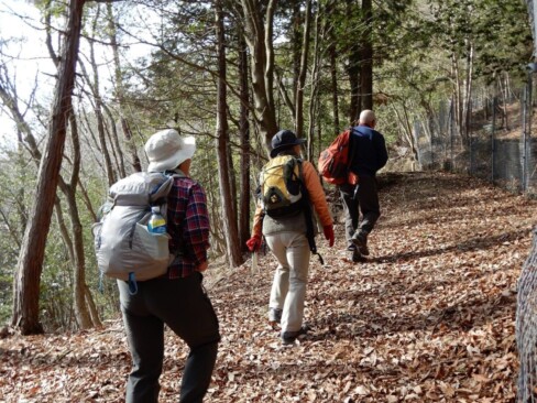 けっこうな登りです。
