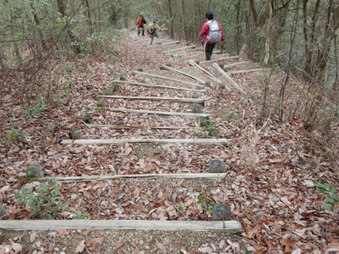 丸太の階段を下り続けます。