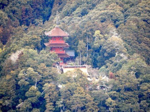 拡大してみると…柏原八幡宮の三重塔が見えてました。