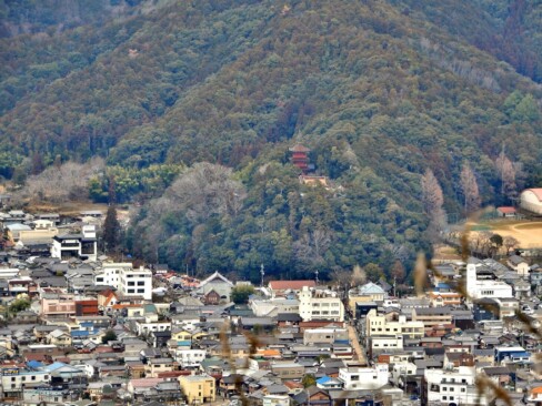 柏原八幡宮のほうです。山の中腹に何か見えますね。