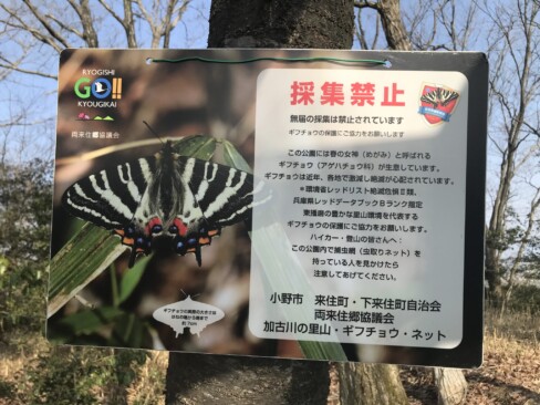 ギフチョウの生息地なんですね。あちこちに、このプレートがありました。