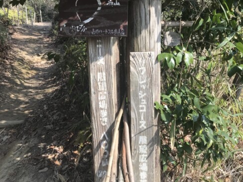 今日はリフレッシュコースを行きます。800歩ですね!!