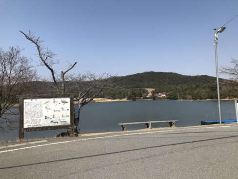 鴨池到着。3月の終わりともなると、鴨の数もずいぶん減っています。