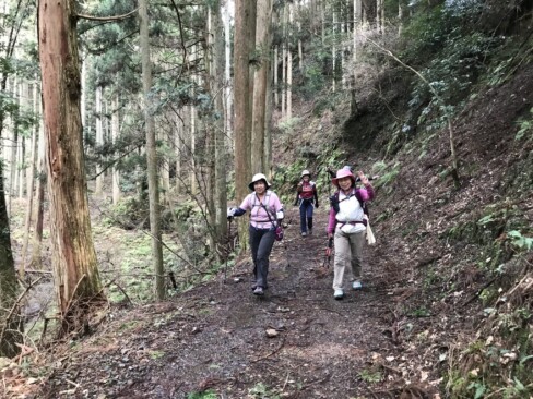 亀甲谷に沿って歩きます。ゴールはもうすぐ。