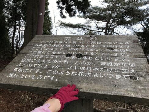 御所に向かって、ここから天皇の安泰を祈っていたのですね。