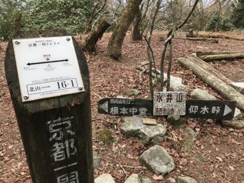 横高山から12分で水井山(標高793.9m)到着!!京都一周トレイルの最高地点。