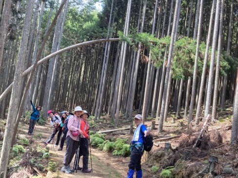 杉林の間を、まだまだ歩きますよーーー!!